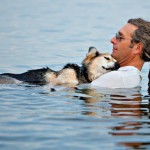 ある男性と老犬の愛情